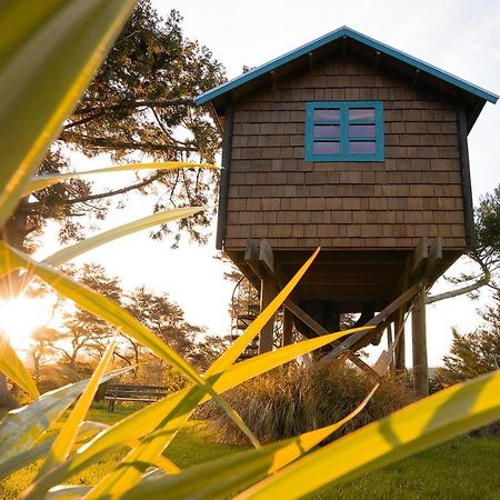 Tui Ridge Eco Cabins Aongatete Luaran gambar