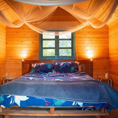 Tui Ridge Eco Cabins Aongatete Luaran gambar