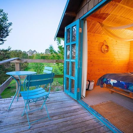 Tui Ridge Eco Cabins Aongatete Luaran gambar
