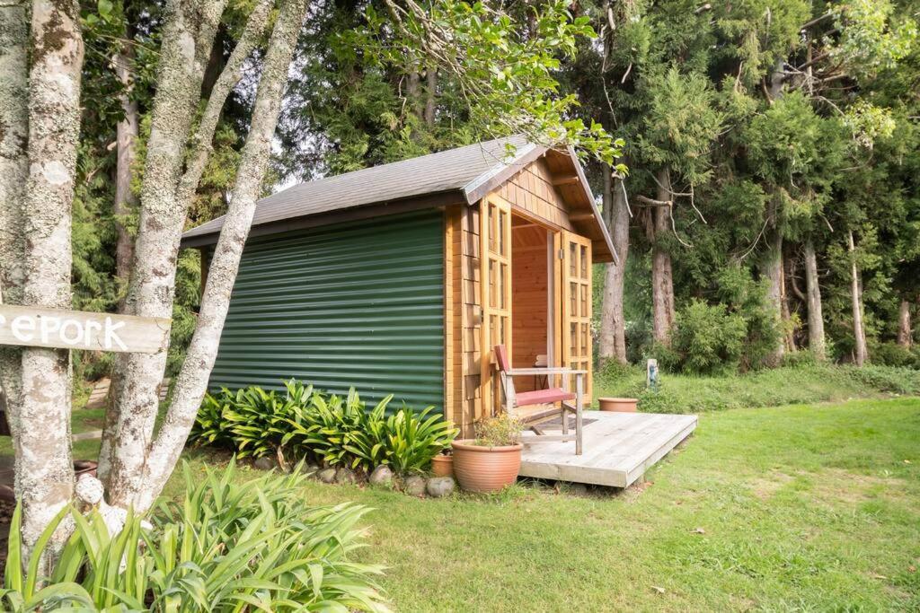 Tui Ridge Eco Cabins Aongatete Luaran gambar