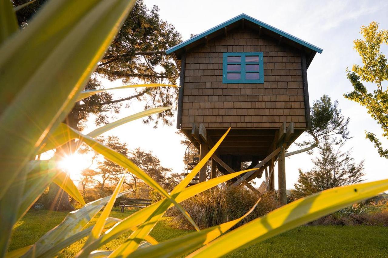 Tui Ridge Eco Cabins Aongatete Luaran gambar