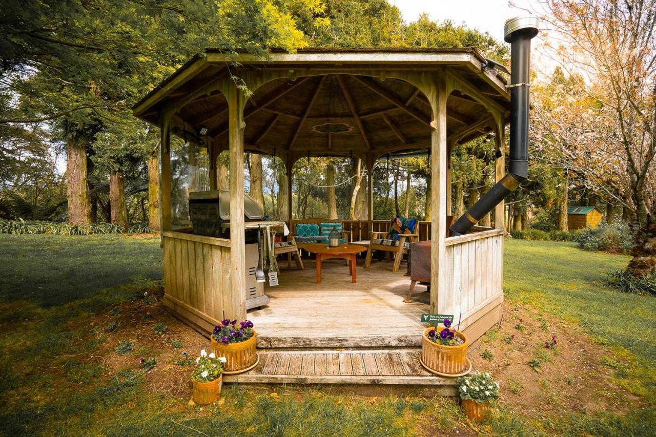 Tui Ridge Eco Cabins Aongatete Luaran gambar