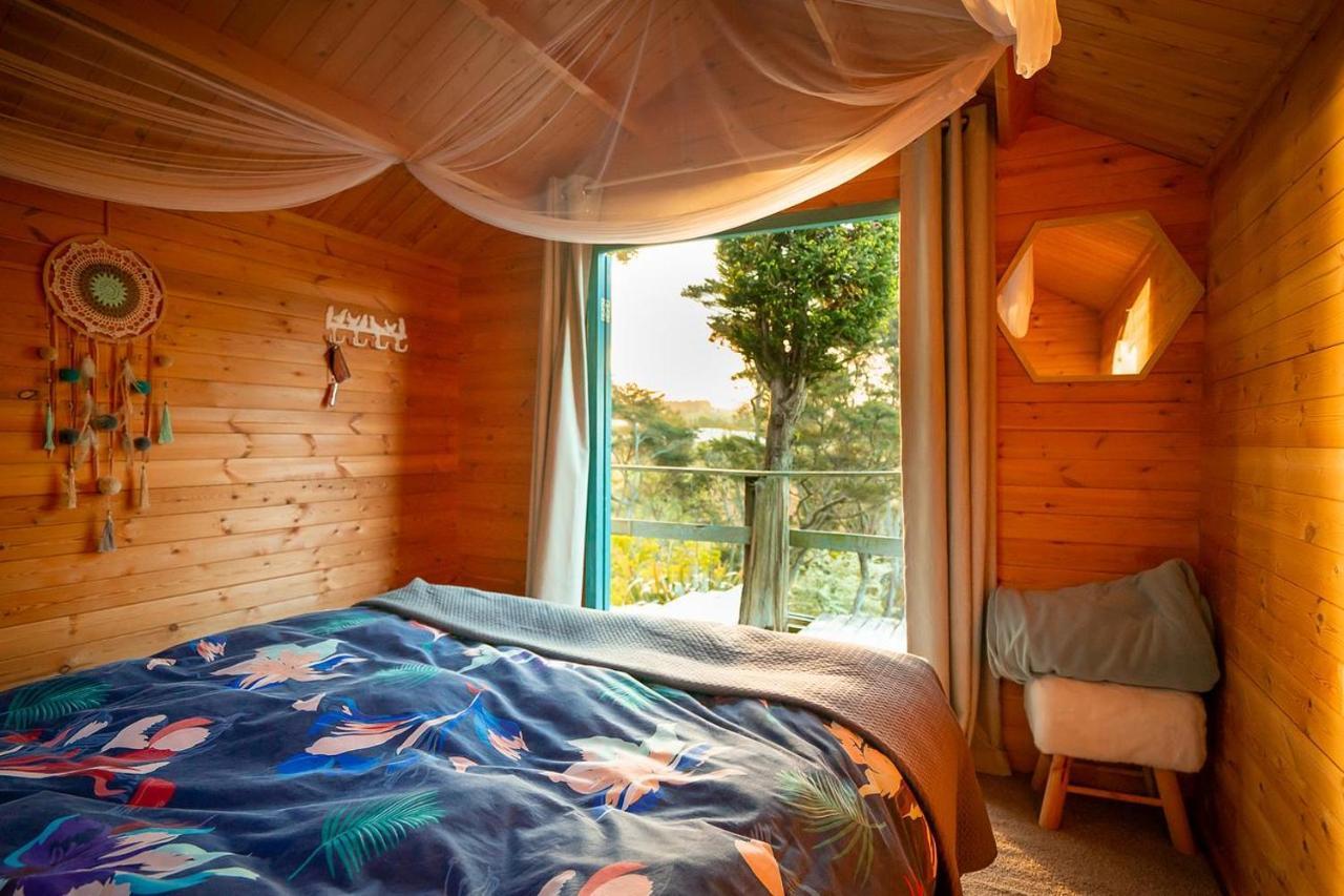 Tui Ridge Eco Cabins Aongatete Luaran gambar