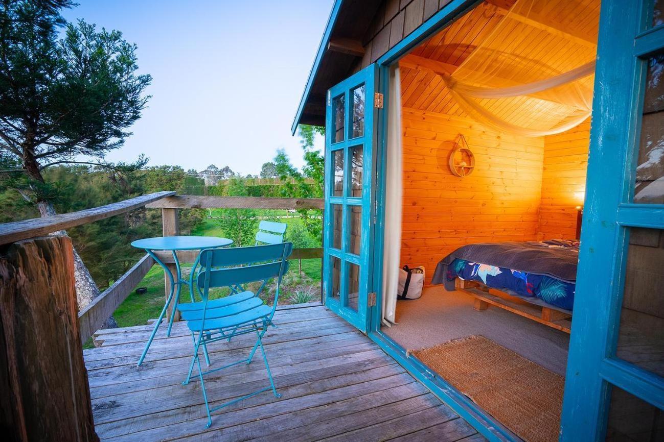 Tui Ridge Eco Cabins Aongatete Luaran gambar