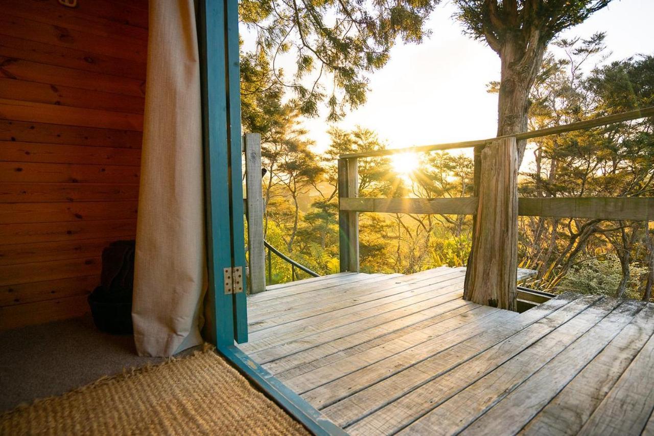 Tui Ridge Eco Cabins Aongatete Luaran gambar