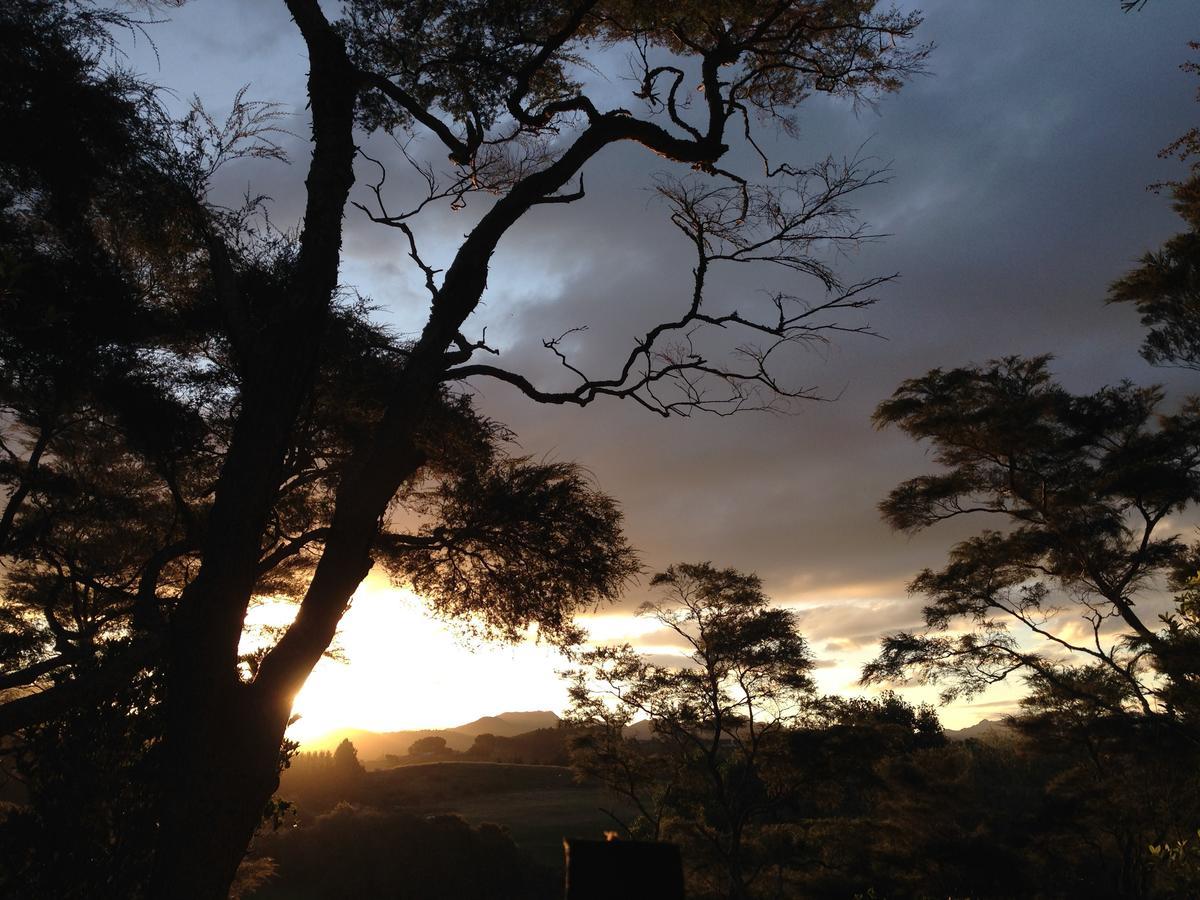Tui Ridge Eco Cabins Aongatete Luaran gambar