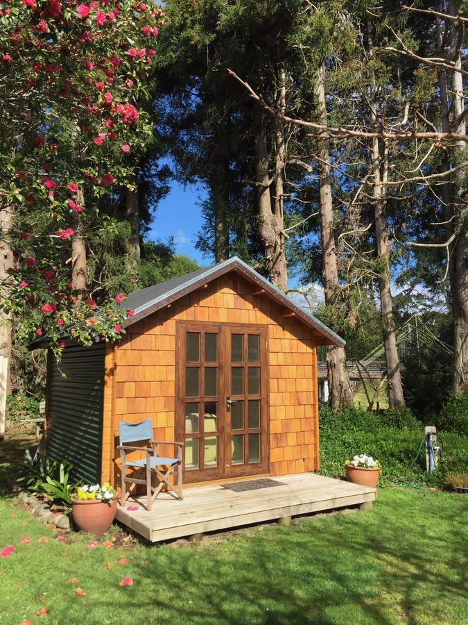 Tui Ridge Eco Cabins Aongatete Luaran gambar