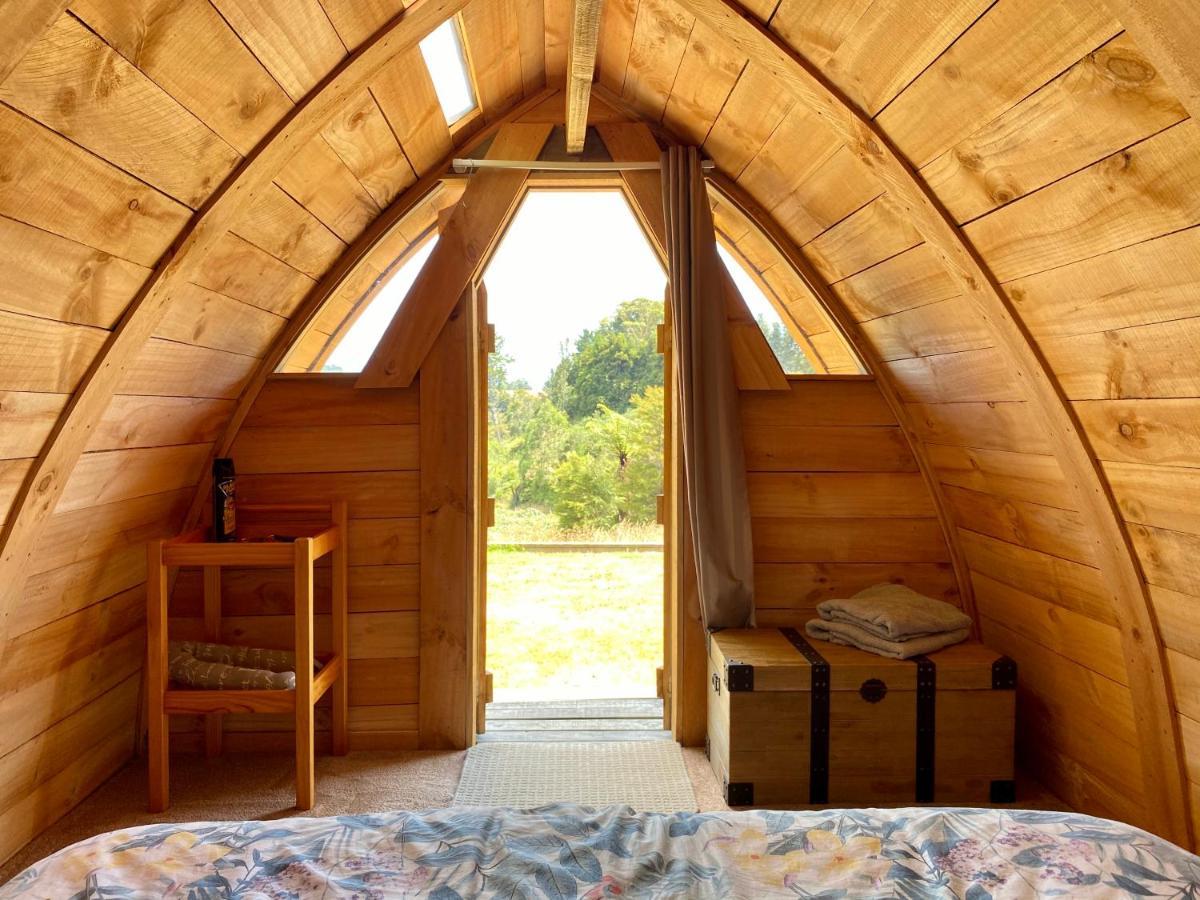 Tui Ridge Eco Cabins Aongatete Luaran gambar