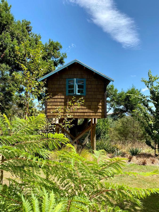 Tui Ridge Eco Cabins Aongatete Luaran gambar