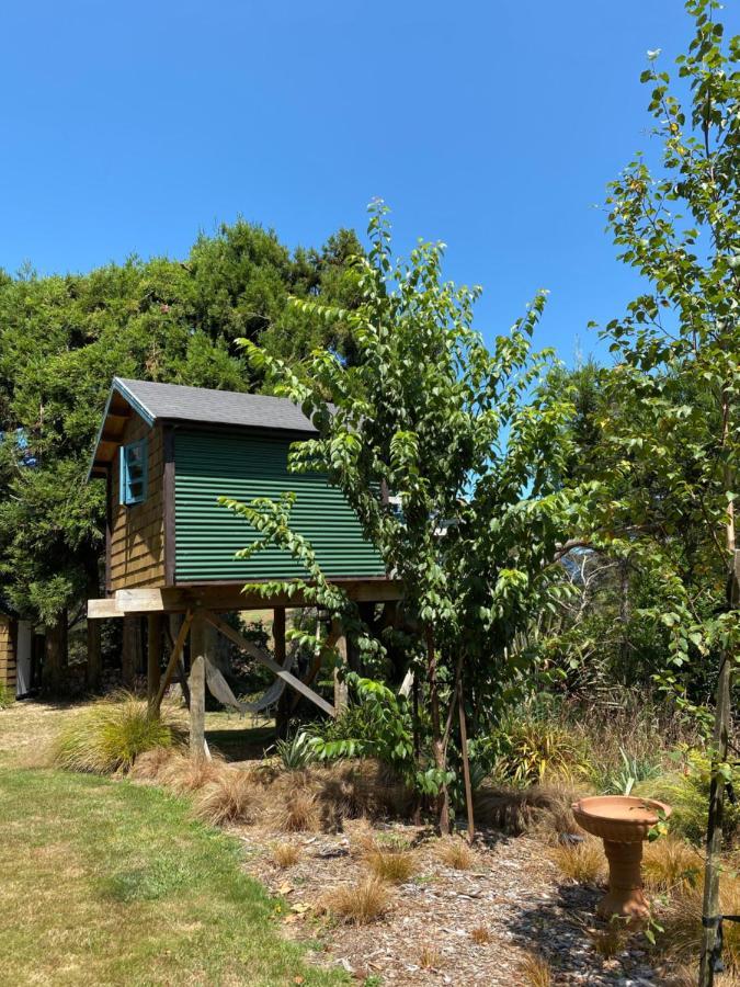 Tui Ridge Eco Cabins Aongatete Luaran gambar