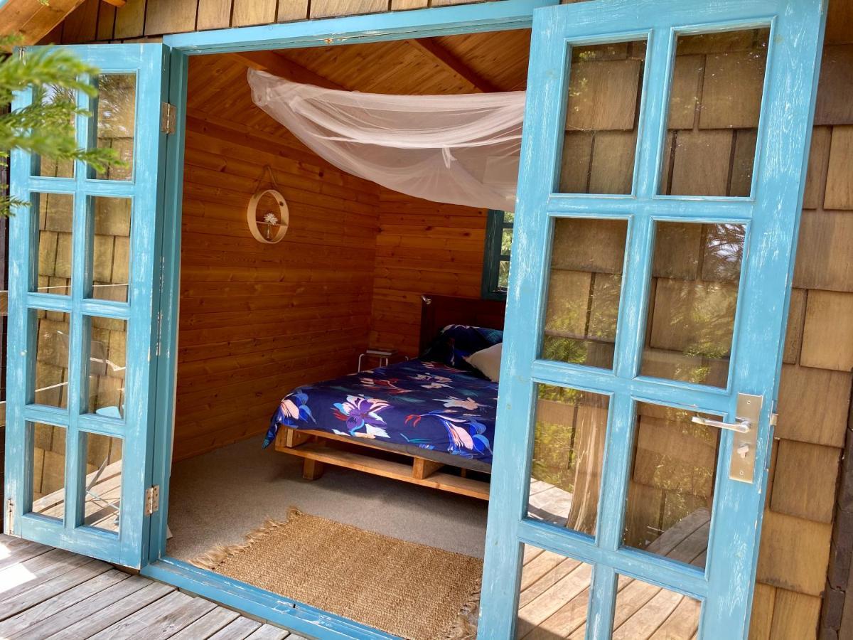 Tui Ridge Eco Cabins Aongatete Luaran gambar